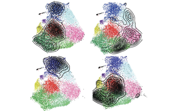 Single-cell Data Science Enables Recent Breakthroughs In Cancer ...