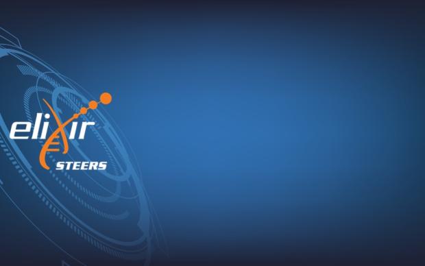 ELIXIR-STEERS logo