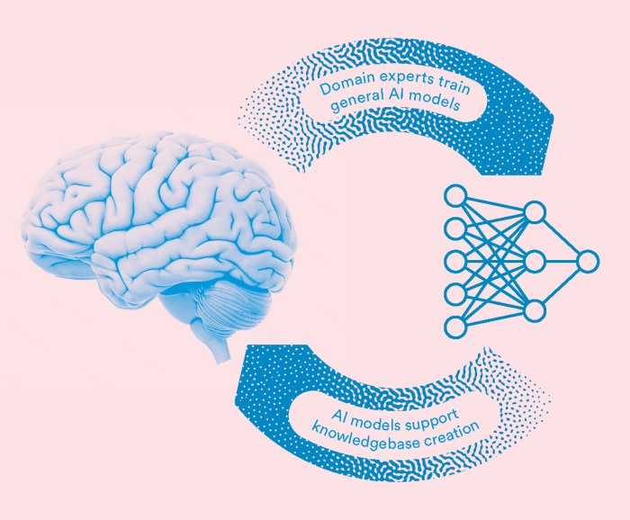 An illustration of the brain with a blue circle for emphasis