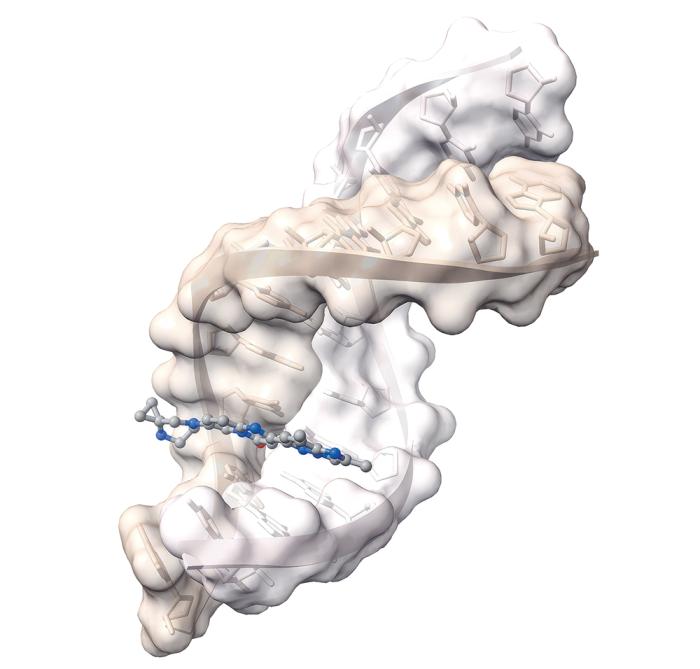 A 3D rendering of a DNA molecule structure