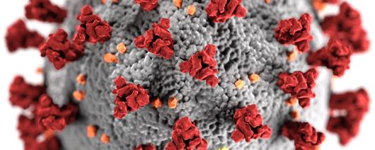 Close up of COVID-19 virus